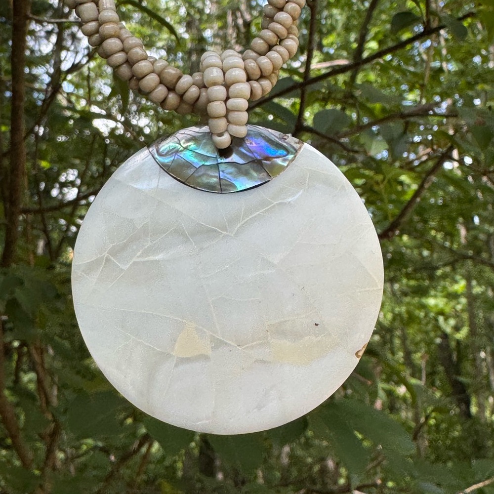Seashell and Abalone Artistic statement necklace with braided beads